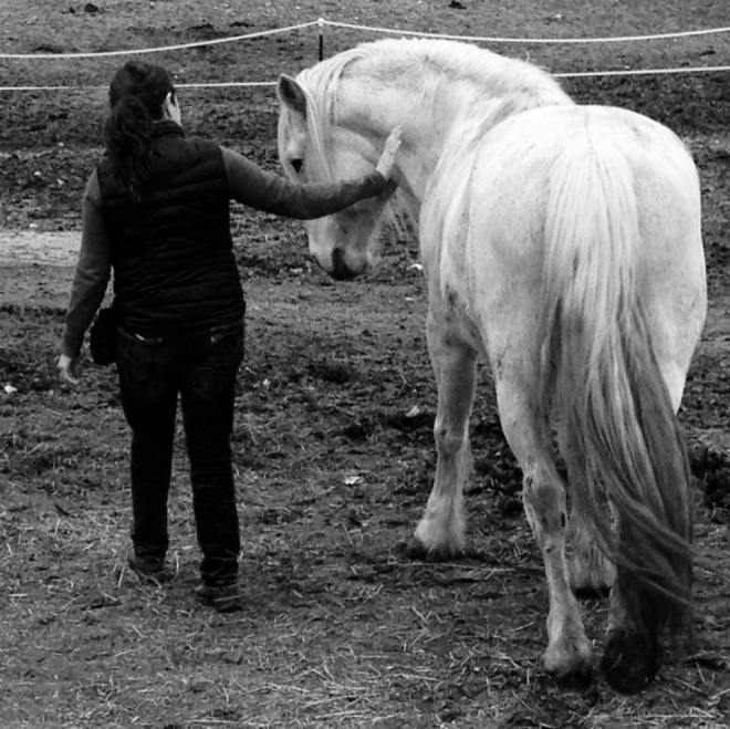 10312997_10206613712800466_288741567704443499_n