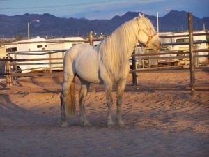 First picture of Tarot