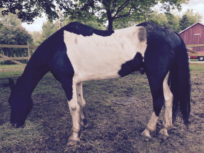 Eastwick Day One- 5-29-15