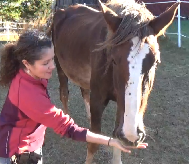 Sistine learning food delivery