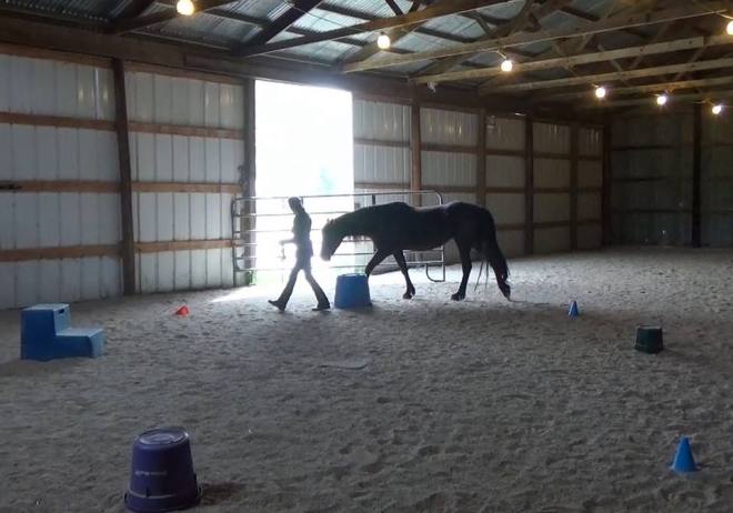 13266022_10209857504413229_3371457606379607882_n