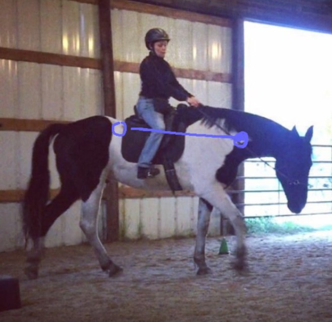 Hocus new ridden posture phase one