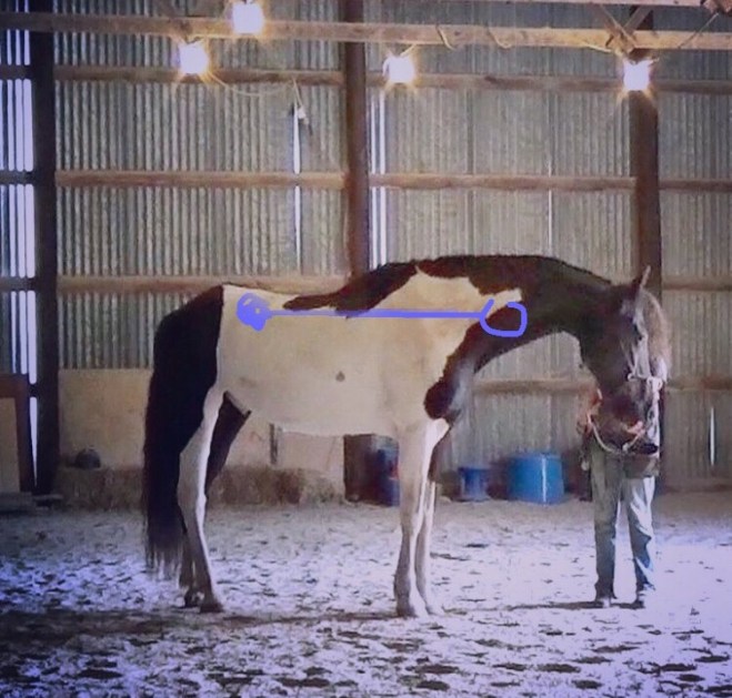 Hocus overall balance